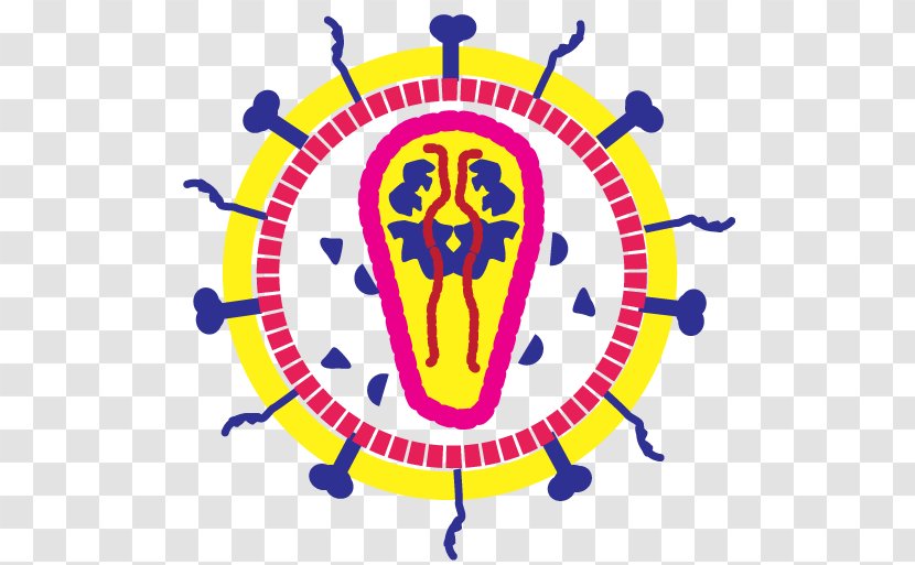 Horse Equine Infectious Anemia Virus Disease - Sterilized Antibody Transparent PNG