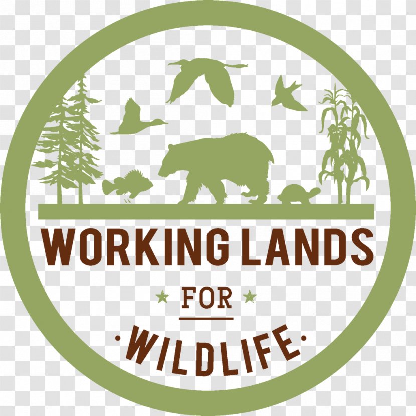 Natural Resources Conservation Service Logo The Wildlife Society Hunting - Photography - Nature Transparent PNG