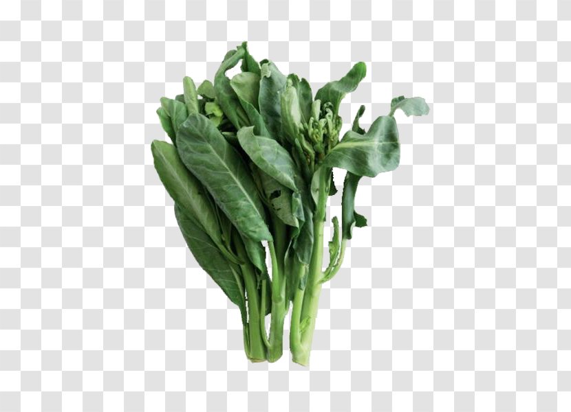 Chinese Broccoli Romaine Lettuce Vegetable Collard Greens Spring - Vegetarian Food - Green Kale Leaves Transparent PNG