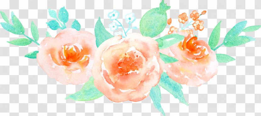 Garden Roses Beach Rose Flower - Arranging - Orange Painted Pattern Of Transparent PNG