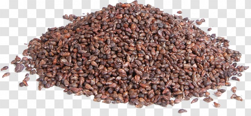 Grape Seed Extract Food Herb - Spice Transparent PNG