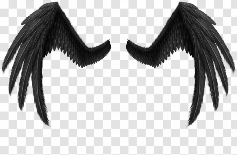 DeviantArt Wings - Neck - Black Transparent PNG