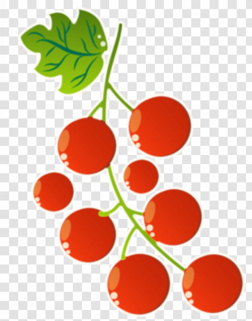 Superfood Natural Foods Cherry - Fruit Salad Transparent PNG