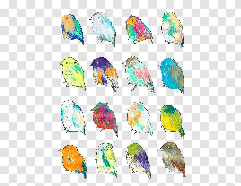 The Birds Of America Painting Drawing - Common Pet Parakeet - Hippie Transparent PNG