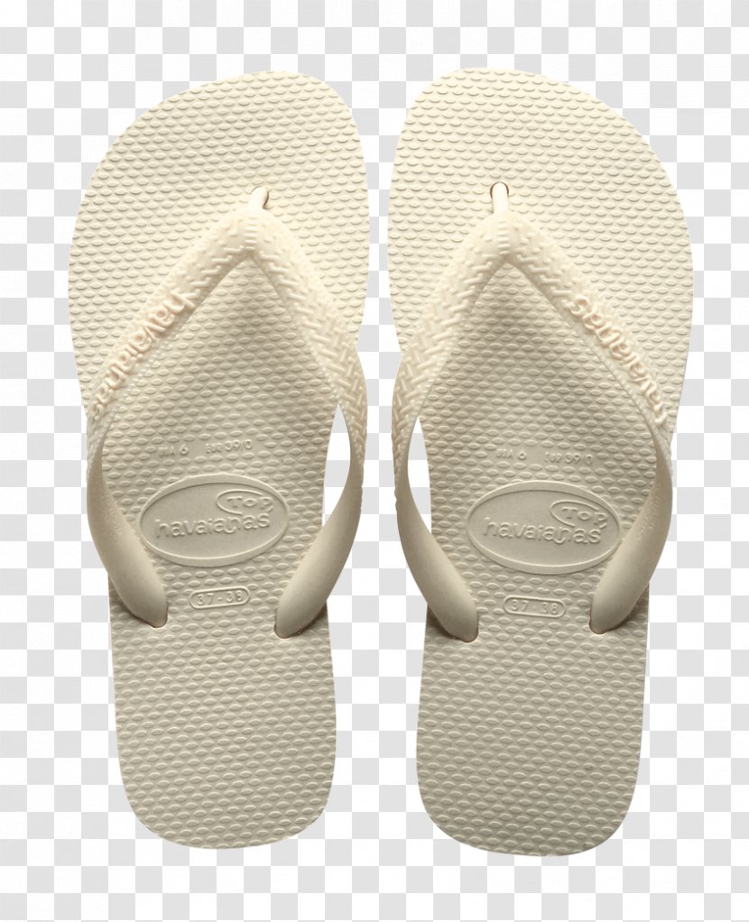 Slipper Flip-flops Sandal Shoe Crocs - Onepiece Swimsuit - VETORES Transparent PNG