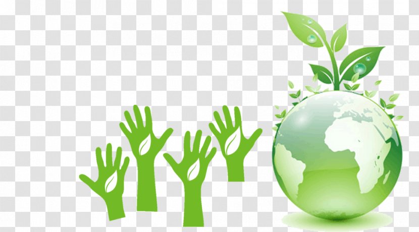 Industry World Better Business Bureau Cleaning Environmentally Friendly - Natural Environment Transparent PNG