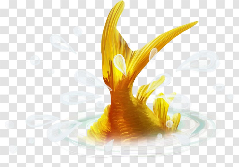 Sea Fish Clip Art - Saltwater Transparent PNG