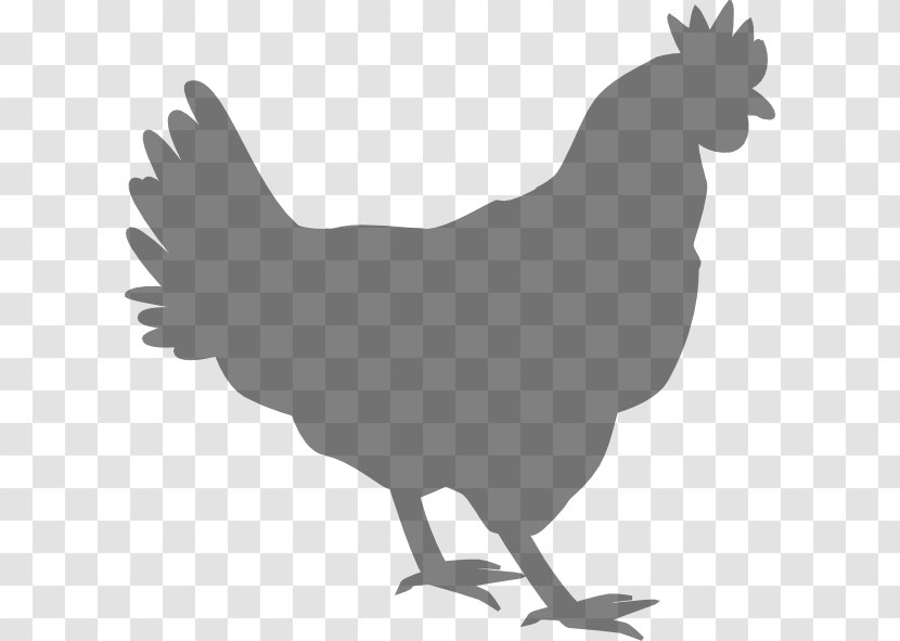 Chicken Rooster Poultry Clip Art - Galliformes Transparent PNG