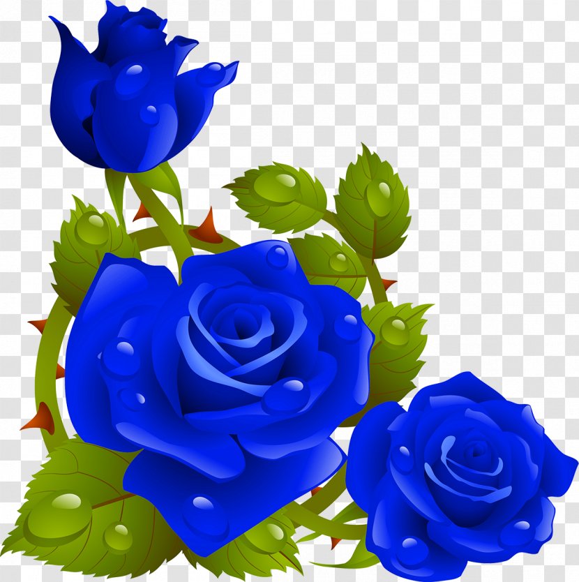 Rose Flower Stock Photography Floral Design Clip Art - Electric Blue Transparent PNG