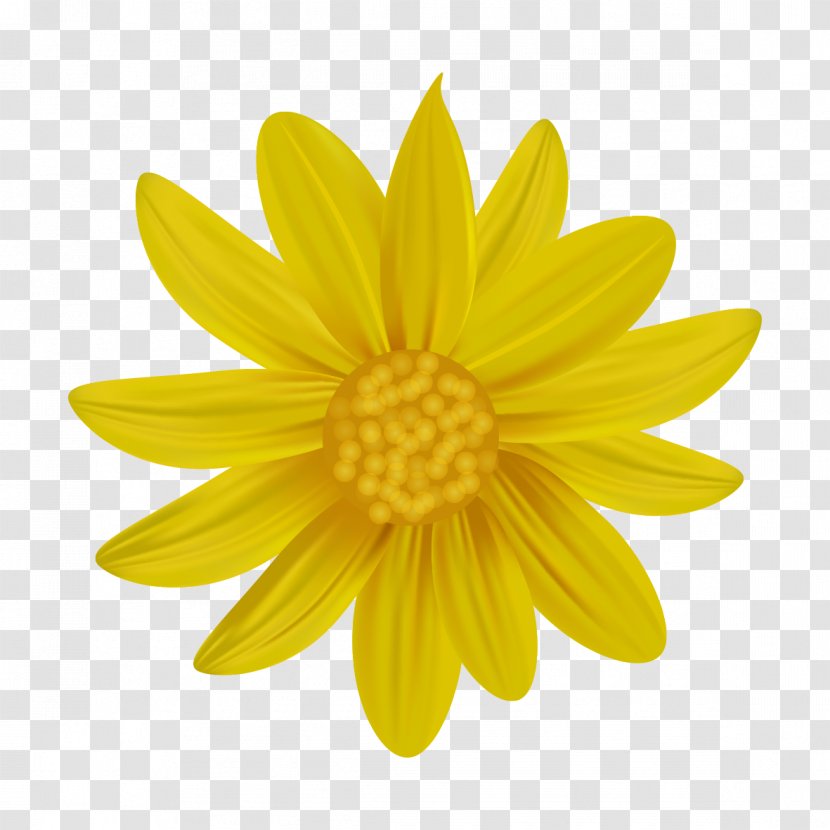 Logo Royalty-free - Stock Photography - Yellow Daisy Design Transparent PNG