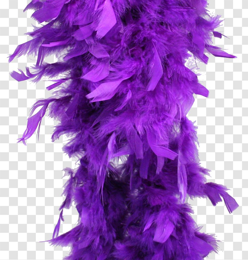 Feather Boa Purple Costume Party Transparent PNG