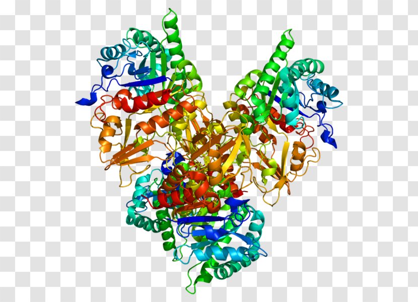 CHI3L1 Chitinase Protein Secretion Gene - Glycoprotein - Antibody Transparent PNG