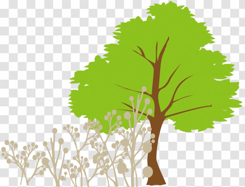 Tree Euclidean Vector Clip Art - Cartoon Grass Transparent PNG