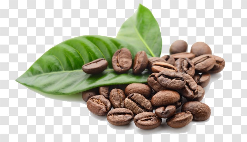 Single-origin Coffee Cafe Espresso Bean Transparent PNG