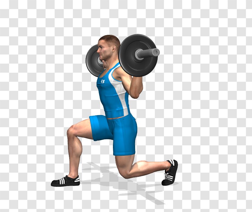 Exercise Physical Fitness Barbell BOSU Cable Machine - Tree Transparent PNG