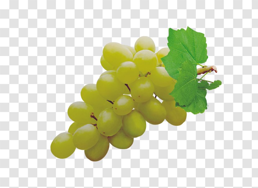 Juice Grapevines Clip Art - Vine - Green Grapes Transparent PNG