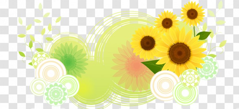 Common Sunflower - Yellow - Flower Transparent PNG