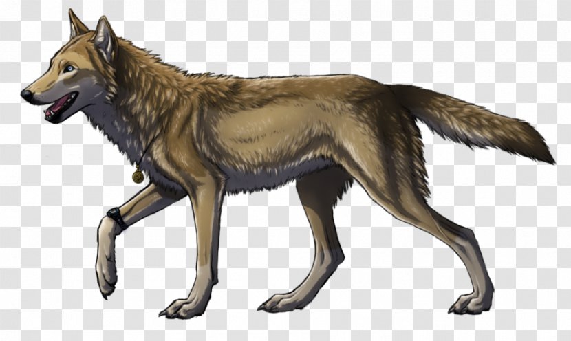 Kunming Wolfdog Saarloos Czechoslovakian Gray Wolf Coyote - Mammal - Puppy Transparent PNG