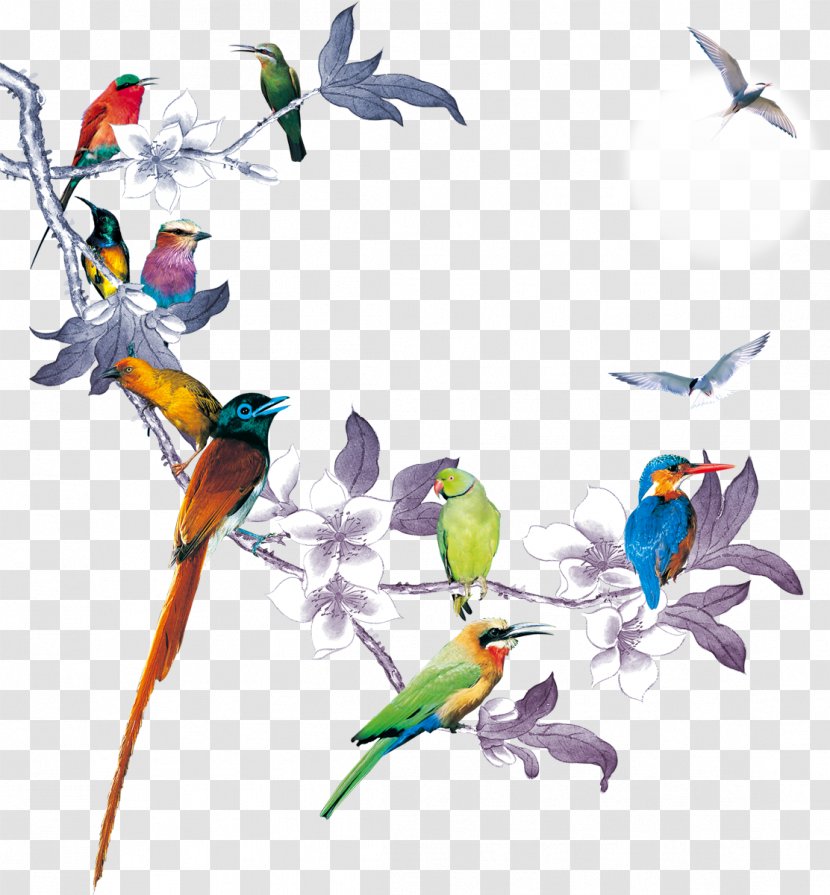 Bird Download - Branch - Birds Transparent PNG
