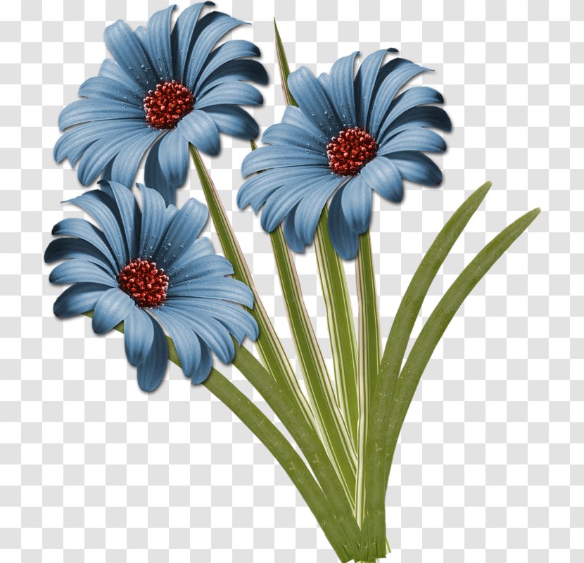 Common Daisy Cut Flowers Clip Art - Centerblog - Flower Transparent PNG