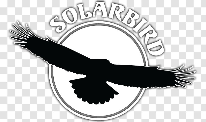 Bird Silhouette - Black And White Transparent PNG