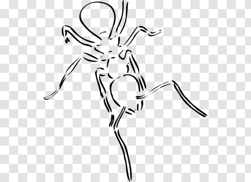 Ant Insect Drawing Clip Art - Photography Transparent PNG