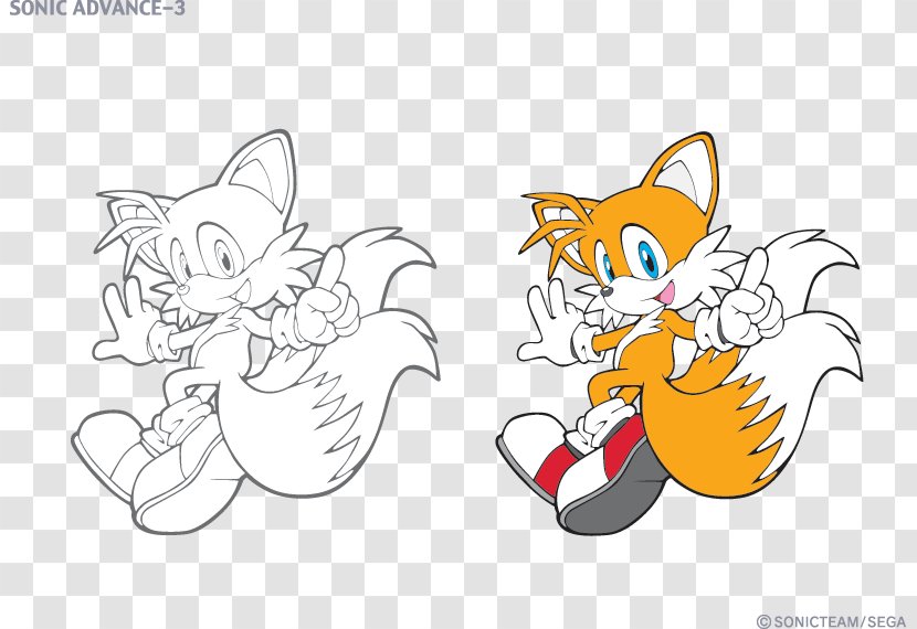 Sonic Chaos Mario & At The Olympic Games Tails Knuckles Echidna Sega All-Stars Racing - Tree - Luigi Transparent PNG