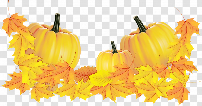 Pumpkin Transparent PNG