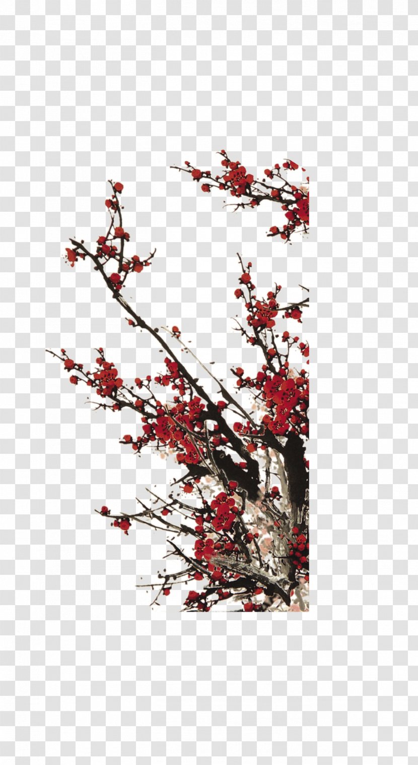 Poster Photography - Plum Blossom - Flower Transparent PNG