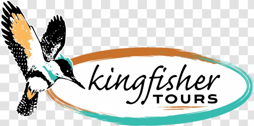 Logo Kingfisher Tours Flight Cockburn Ranges Lookout - Brand Transparent PNG