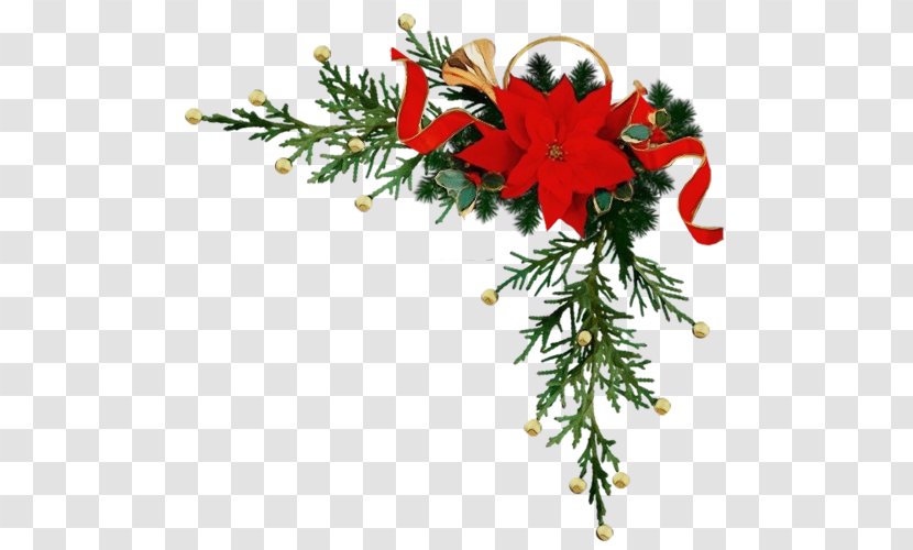 Christmas Decoration - Flower - Ornament Fir Transparent PNG