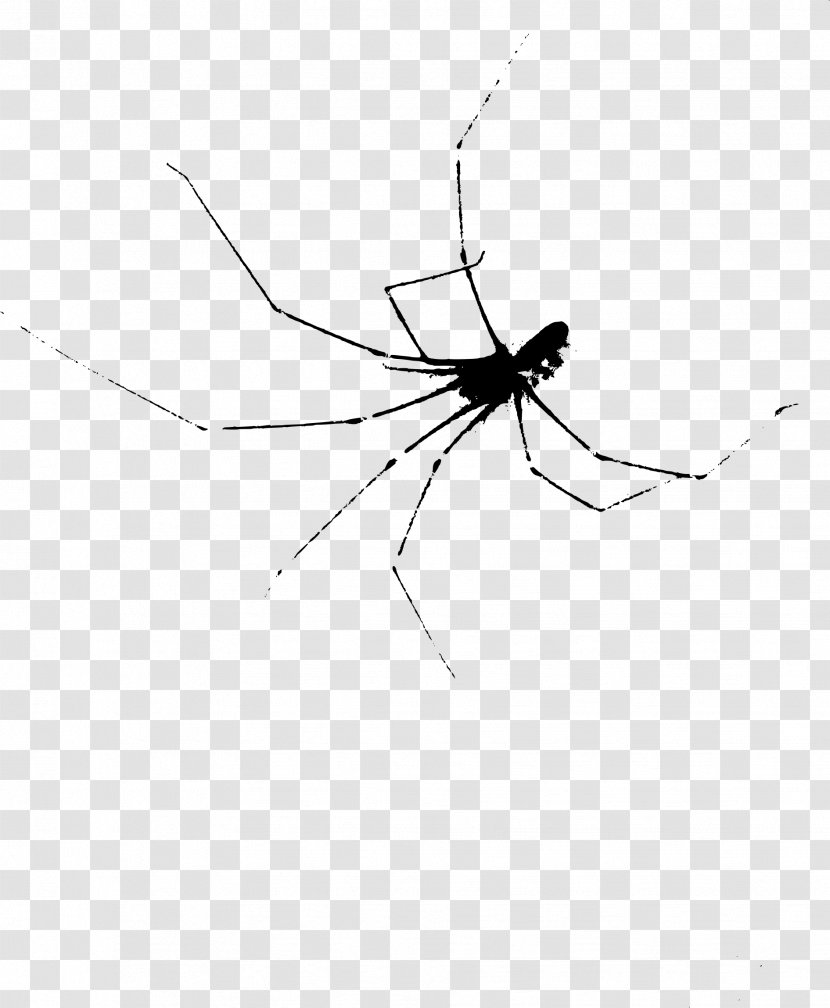 Widow Spiders Mosquito Insect Black And White - Fly - Scary Transparent PNG