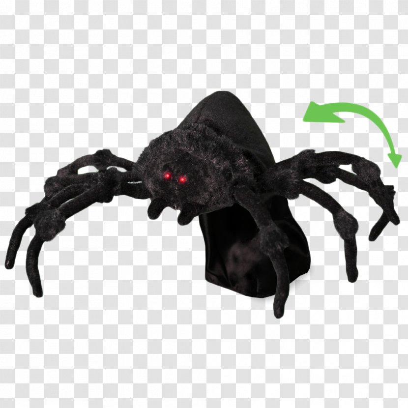 Jumping Spider Halloween Widow Spiders Noble False - Cartoon - Silk Decoration Transparent PNG