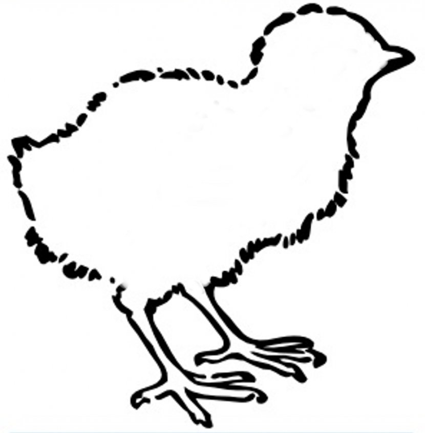 Chicken Kifaranga Clip Art - Website - Outline Transparent PNG