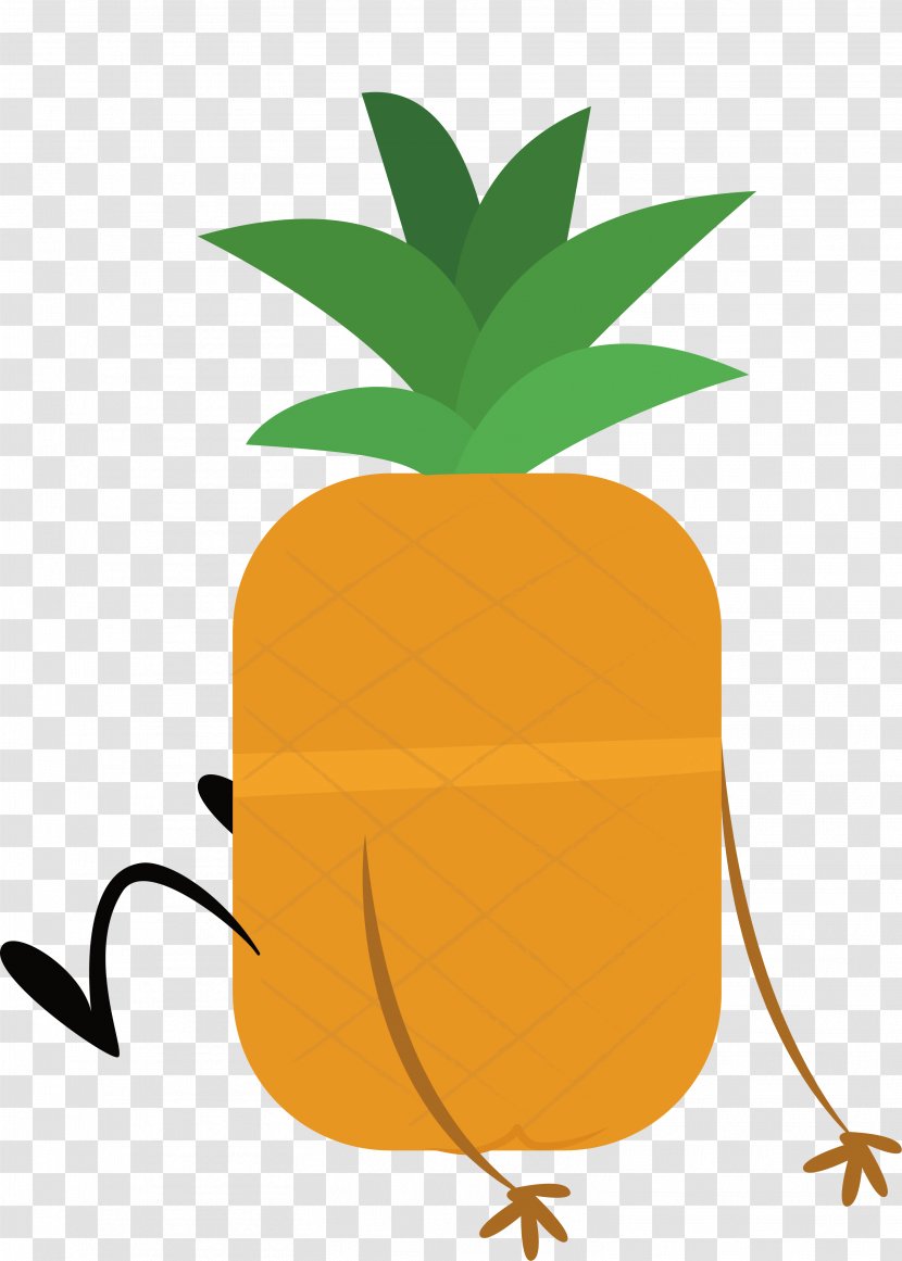 Pineapple Drawing - The Confused Transparent PNG