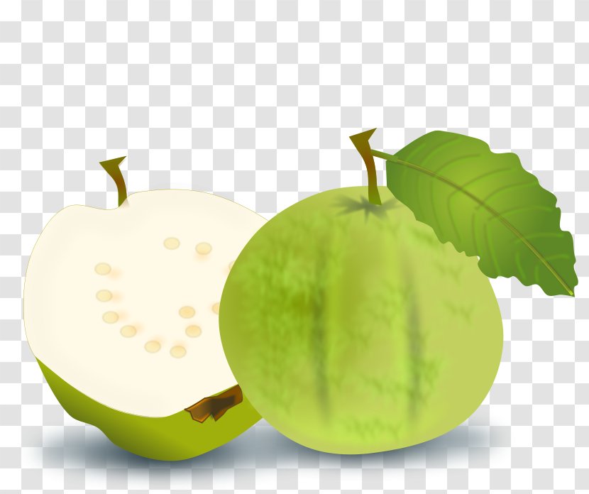 Guava Vegetarian Cuisine Fruit Clip Art - Website - Green Apple Pictures Transparent PNG