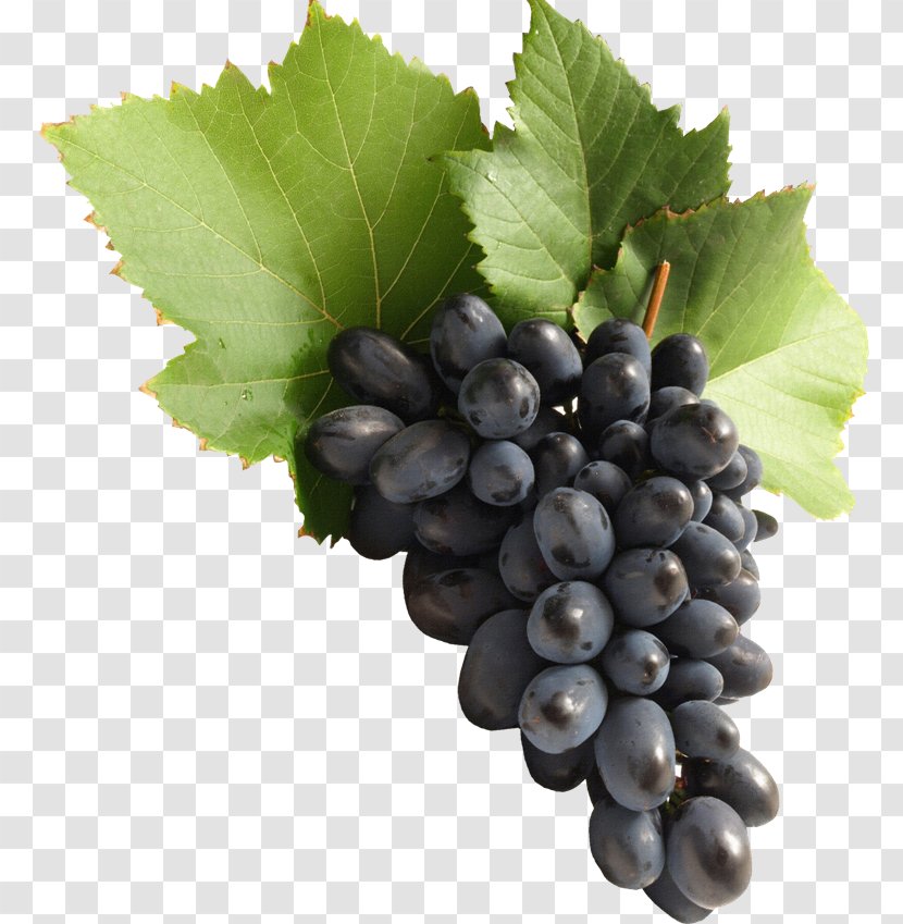 Common Grape Vine Wine Must Fruit - Bilberry - White Transparent PNG