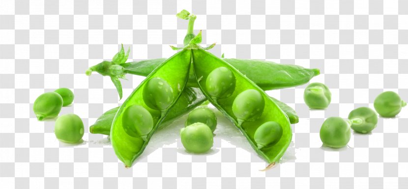 Pea Soup Vegetable Stock Photography - Bean - Green Pods Transparent PNG