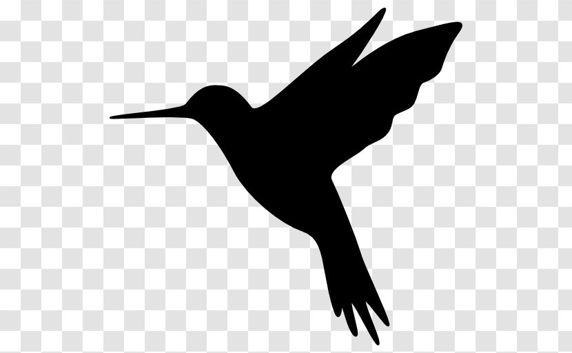 Hummingbird Amazon.com Sound - Bird Vocalization Transparent PNG