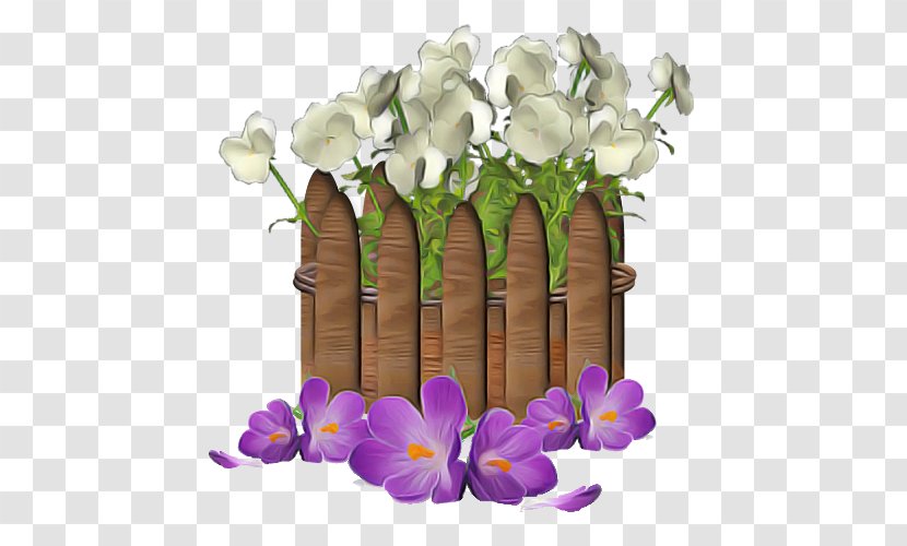 Flower Violet Plant Purple Cut Flowers - Flowerpot Moth Orchid Transparent PNG