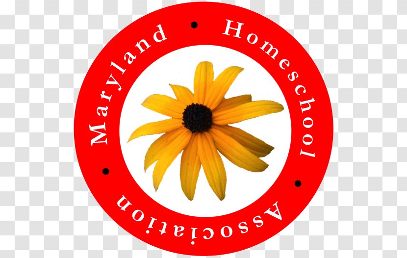 Maryland Homeschooling Compulsory Education - Background Backdrop Halal Bi Transparent PNG