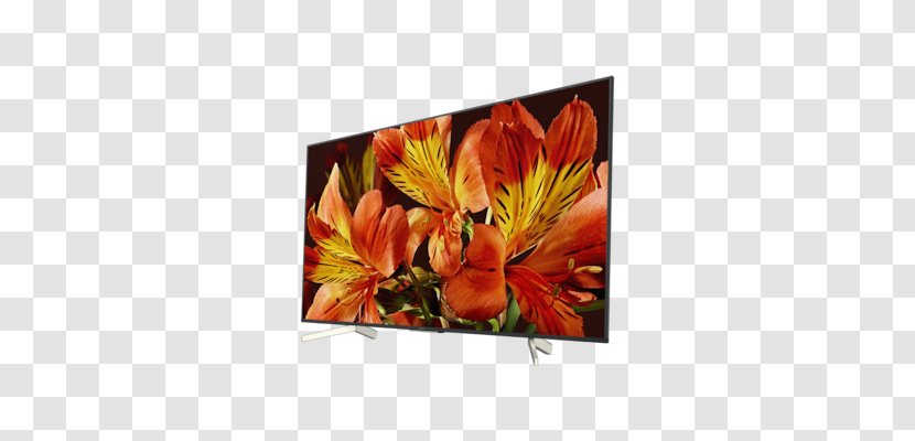 Smart TV LED-backlit LCD 4K Resolution Ultra-high-definition Television Sony XF8505 - 4k - High Dynamic Range Transparent PNG