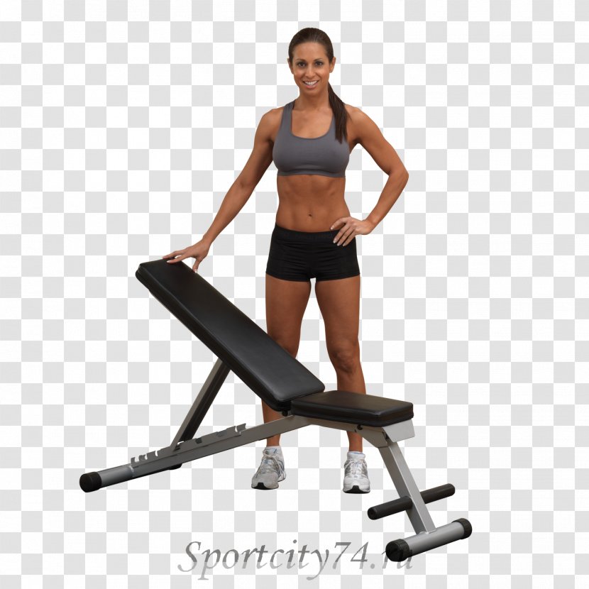 Bench Exercise Dumbbell Weight Training Flexibility - Flower - Park Transparent PNG