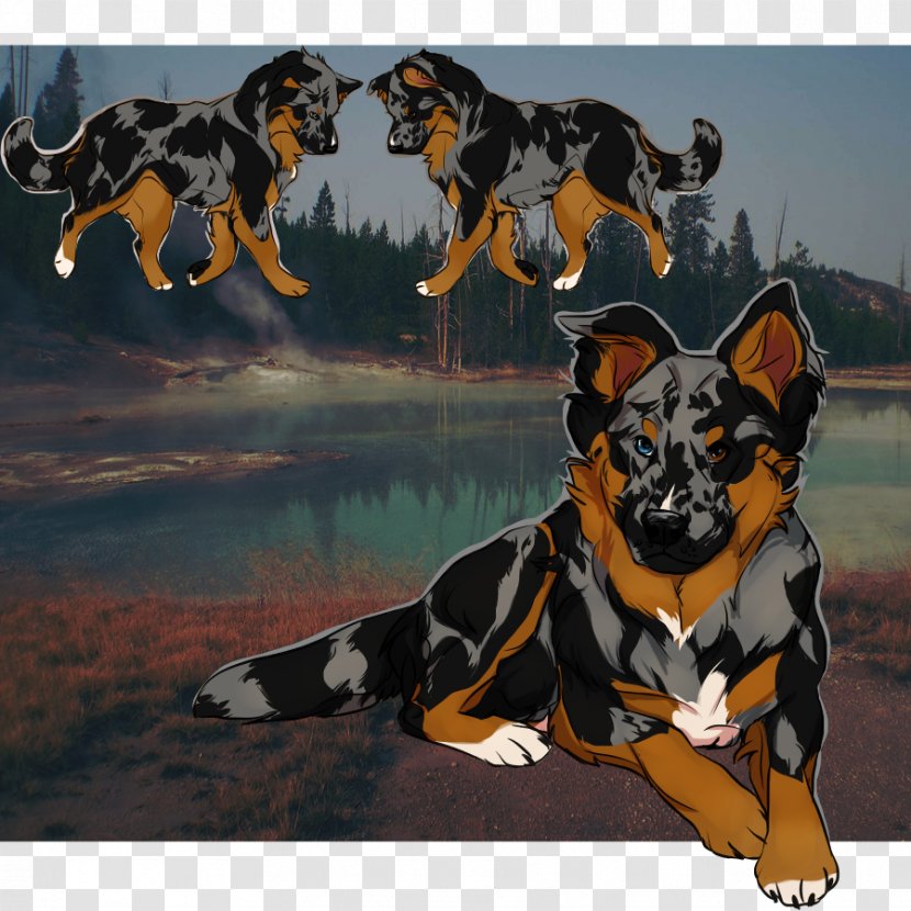 Dog Breed Razas Nativas Vulnerables Transparent PNG