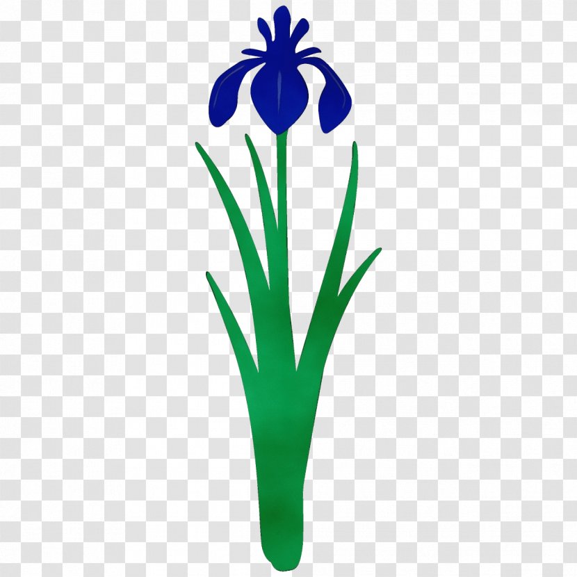 Flower Plant Flowering Clip Art Petal - Paint - Pedicel Iris Transparent PNG