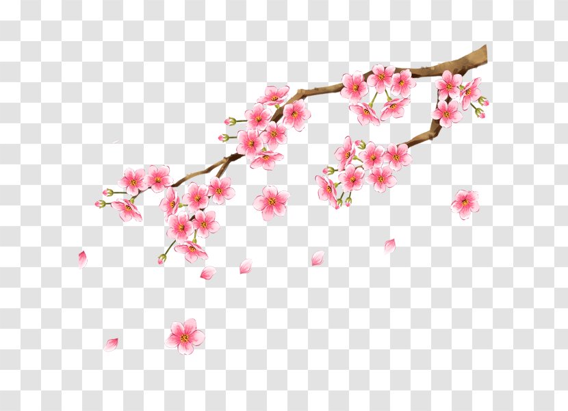 Plum Blossom Clip Art - Cherry Transparent PNG