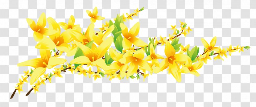 Adobe Illustrator Flower - Plant - Vector Floral Flowers Transparent PNG