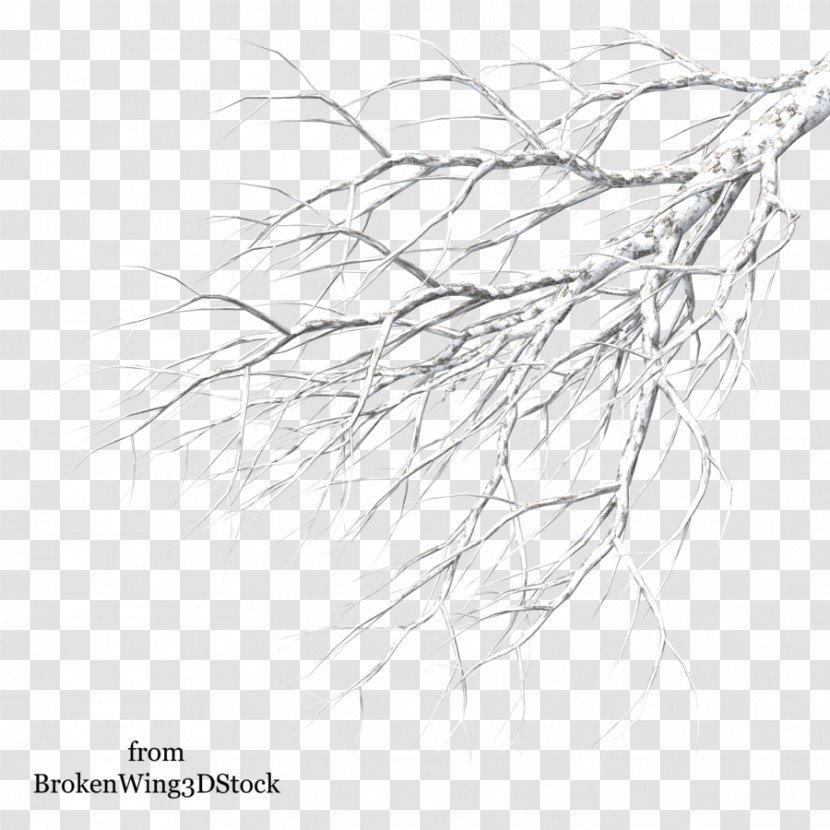 Tree Winter Branch Drawing - Leaf - Snow Transparent PNG