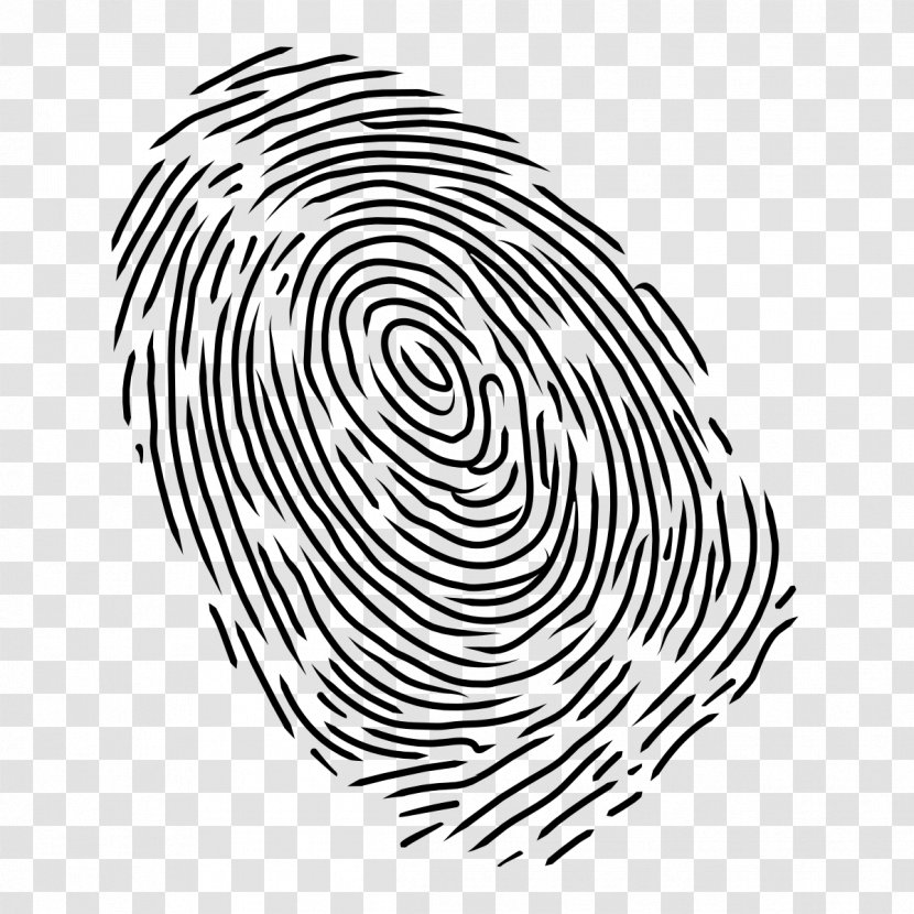 Fingerprint Stock Photography Clip Art - Organism - Fingerprints Transparent PNG