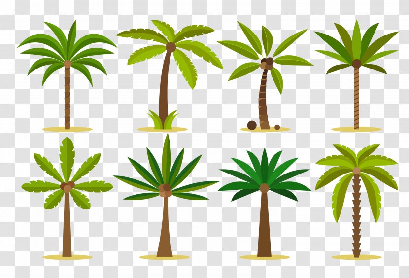 Vector Graphics Palm Trees Clip Art Design Tattoo - Drawing - Fresh Green Transparent PNG